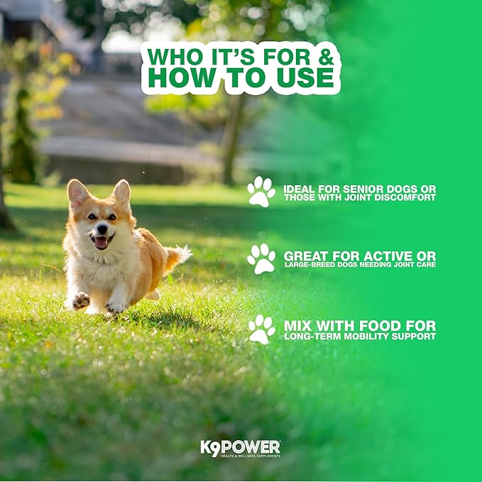 K9 Power Joint Strong Supplement 1 lb - Dog Joint Health & Mobility Support with Glucosamine, Curcumin, Chondroitin, Hip & Joint Pain Relief