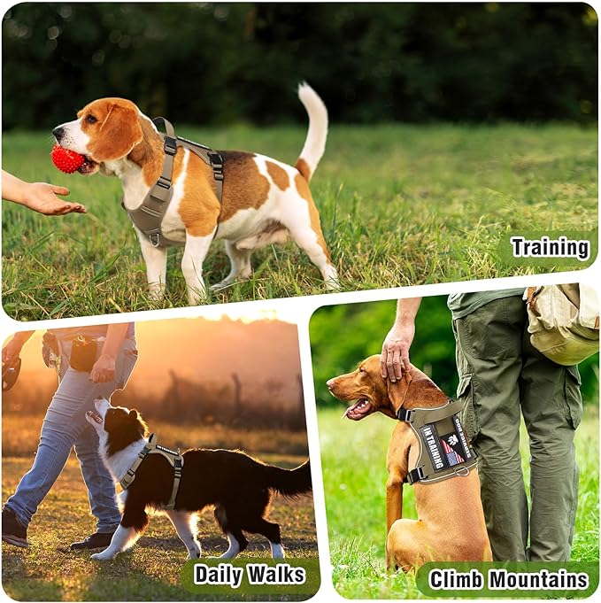 WINSEE Service Dog in Training Harness with 5 PCS Patches, Reflective Tactical Dog Vest Harness, Adjustable Soft Oxford Pet Harness with Easy Control Handle, Hook & Loop Panels for Walking Hiking