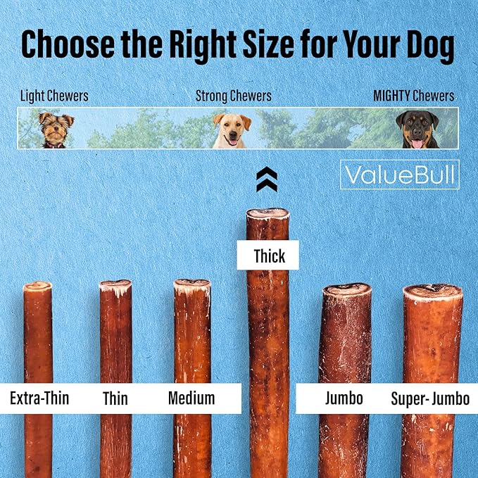 ValueBull Bully Sticks for Dogs, Thick 6 Inch, 25 Count - All Natural, Grass Fed, Single Ingredient, Long Lasting Dog Treats