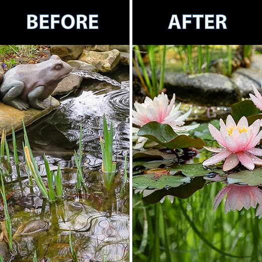 CrystalClear Thrive Aquatic Pond Plant Food, Fish Safe Water Garden Fertilizer, Nutrients Boost Lily & Lotus Flower Bloom & Root Growth, 200 Tablets