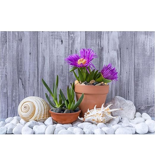 Large River Rocks for Landscaping 20lbs, 3-4 Inch White River Rocks, Hand-Picked Natural Stones for Garden Design Fish Tank, Pathways and Backyard