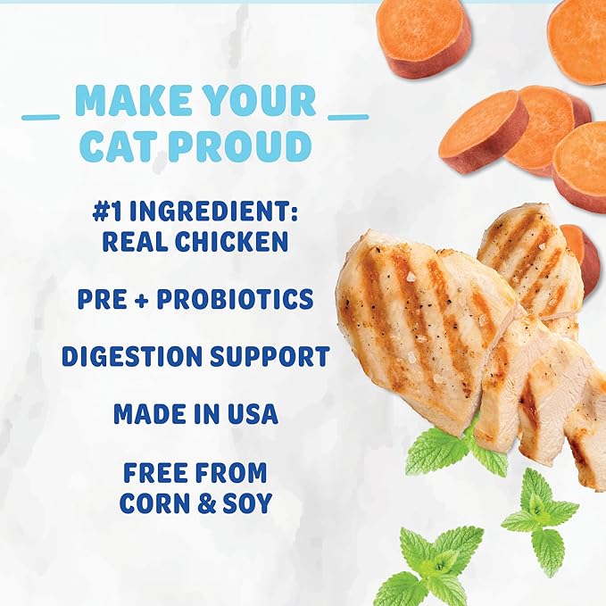 Shameless Pets Celebration Birthday Crunchy Cat Treats Chicken and Catnip Treats with Digestive Support
