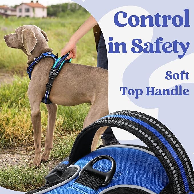 rabbitgoo Dog Harness Small Sized, No Pull Pet Harness with 3 Buckles, Adjustable Soft Padded Vest with Control Handle, Walking Reflective Pet Vest for Small Dogs, Blue, S