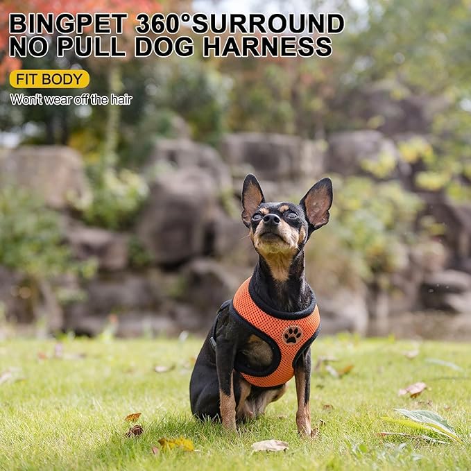 BINGPET No Pull Dog Harness,Soft Mesh Breathable All Weather Vest Harness,Safety Protection Design Durable Adjustable Step-in Easy Walk Dog Harness for Small Medium Large Dogs(Orange,XS)