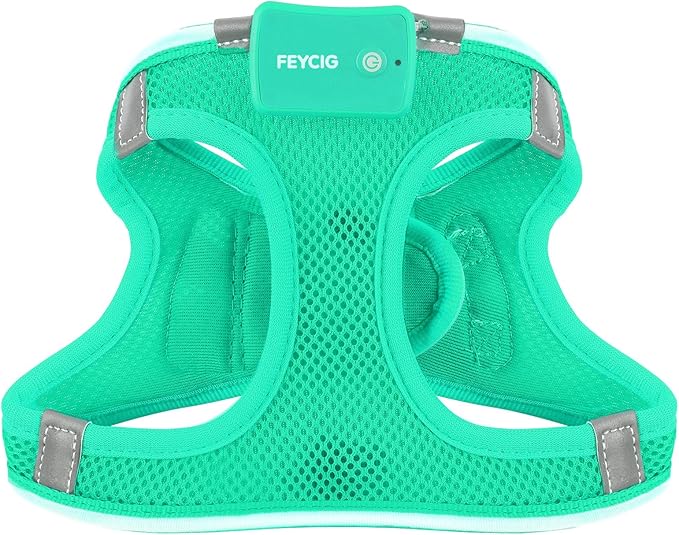 Light Up Dog Harness,Rechargeable LED Dog Harness for Small Medium Large Dogs,Reflective Lighted Safety Vest for Night Walking & Camping,Lightweight & Adjustable,Light Green,XS