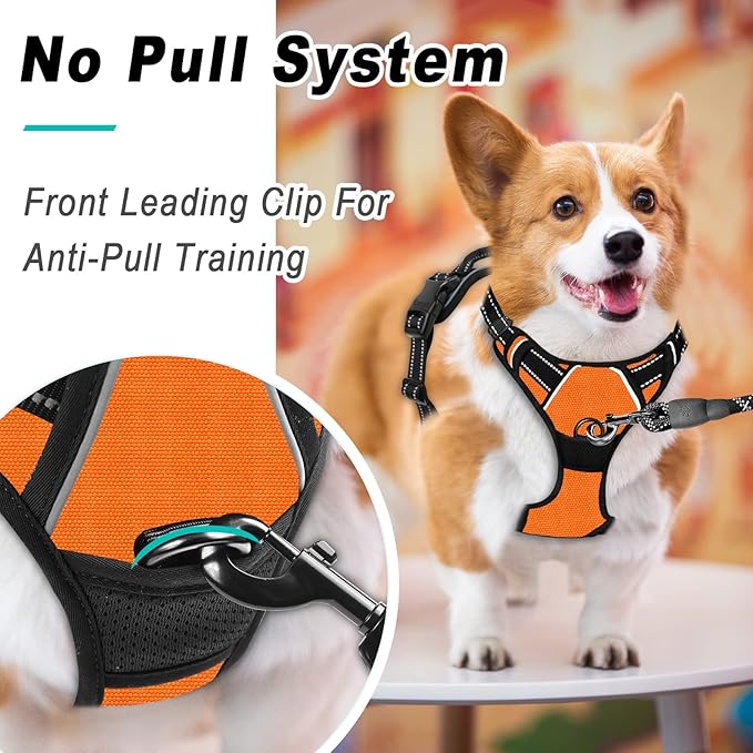 BARKBAY No Pull Dog Harness Large Step in Reflective Dog Harness with Front Clip and Easy Control Handle for Walking Training Running(Orange,XL)