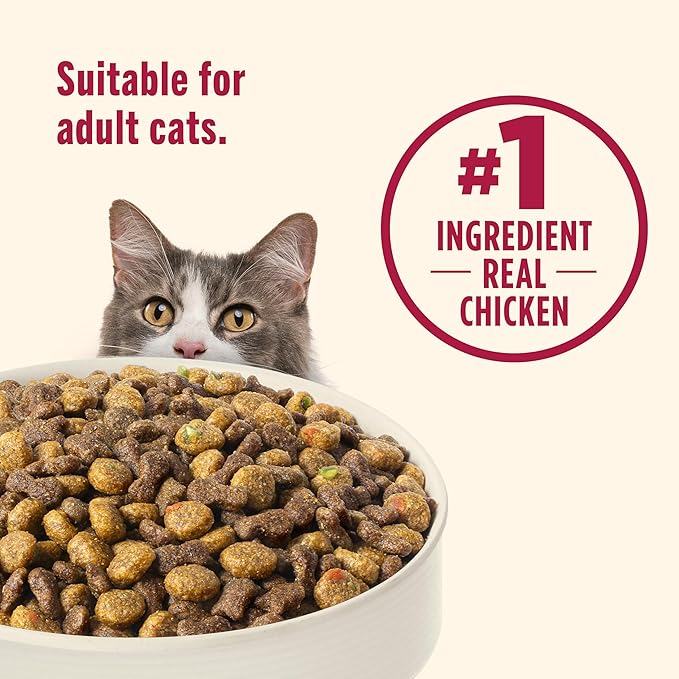 Nutrish Everyday Digestion Dry Cat Food, Chicken Brown Rice and Salmon Recipe with Peas and Carrots, 3 lb. Bag, 4 Count, (Rachael Ray)