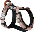 MADE TO ROAM Premium Explorer Harness - Y-Shaped Dog Harness with Adjustable Durable Nylon, Soft Padding, Metal Buckles and Leather Handle for Small, Medium, Large Dogs (Utah Glow, Size 5)