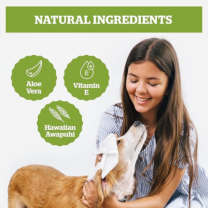 Pogi’s Dog Grooming Wipes – Hypoallergenic Pet Wipes for Paws, Body & Butt – Cleaning & Hydrating, Green Tea Scent, 100-Count