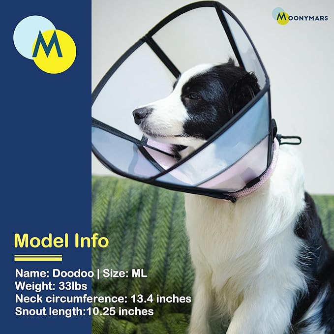 Soft Dog Cone Collar, Comfortable Pet Recovery Neck Collars After Surgery for Large Medium Dogs, Plastic Breathable Elizabethan Dog Head Circle Stop Licking, Adjustable Cones 25cm /10" Long (L Black)