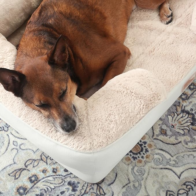 TOWN & COUNTRY EVERYDAY CuddleTown Comfy Solid Bolster Sofa Pet Bed, Supportive & Calming Egg Crate Foam, Non-Slip Bottom, Machine Washable Cover, Cream, Large 35"x25"x8"