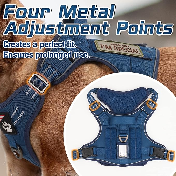 rabbitgoo Dog Harness No Pull, Military Dog Harness Medium Sized Dog with Handle & Molle, Easy Control Service Dog Vest Harness Training Walking, Adjustable Reflective Tactical Pet Harness, Blue, M