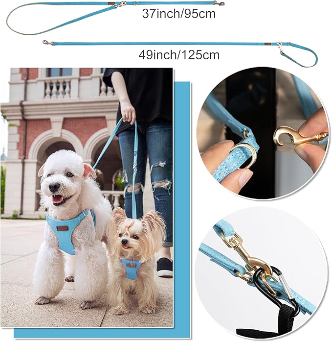 Puppytie No Pull xs Dog Harness with Multifunction Dog Leash,Soft Adjustable No Choke Escape Proof Pet Harness Vest,Ocean Blue,XS