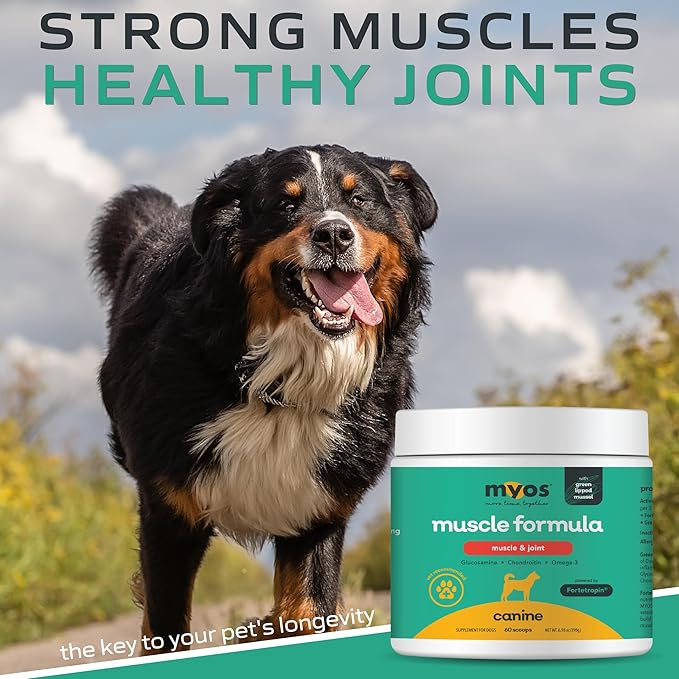 MYOS Muscle & Joint Powered by Fortetropin with Green Lipped Mussel (198 gr)