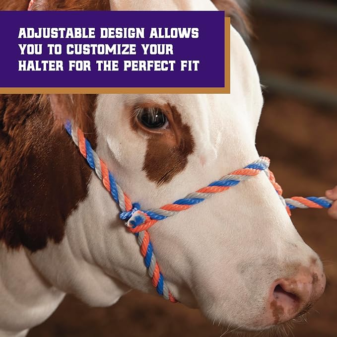 Weaver Livestock Braided Poly Rope Cattle Halter, Adjustable, Modern Style Cow Calf Halter, Livestock Handling Equipment for Showing, Blue/Coral/Gray