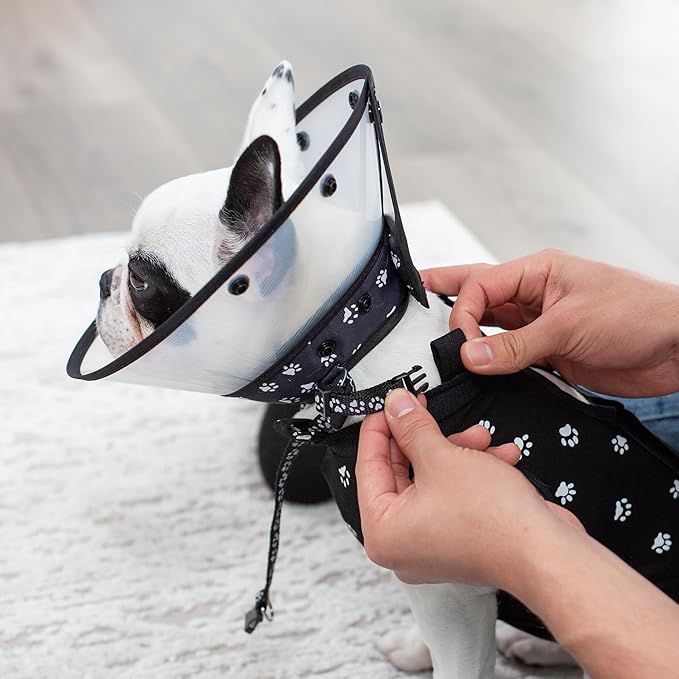 Soft Cone for Cats and Small Dogs - After Surgery Recovery Cat Cones with - Adjustable Non-Irritating Post Operative Comfortable Protective - Cat Cone Collar Soft to Stop Licking
