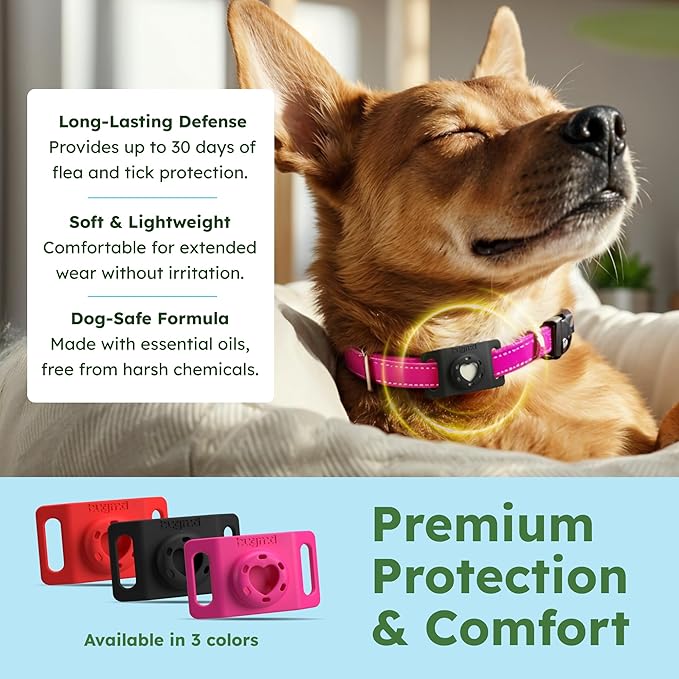 BugMD Paw Guardian Flea & Tick Pendant (2-Pack) with AirTag Holder – Plant-Based Flea & Tick Prevention for Dogs – Pet Collar Tag & GPS Tracker Holder for Dogs – Black