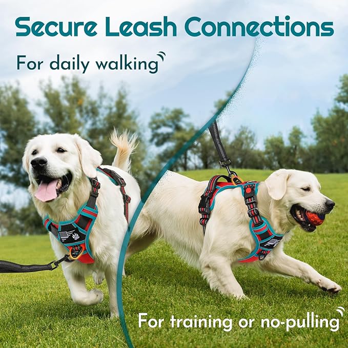 Eagloo Dog Harness for Large Dogs, Easy Wearing with 3 Buckles, Adjustable No Pull Pet Harness with 2 Rings for Walking, No Chock Reflective Soft Padded Vest with Control Handle, Red & Teal, L