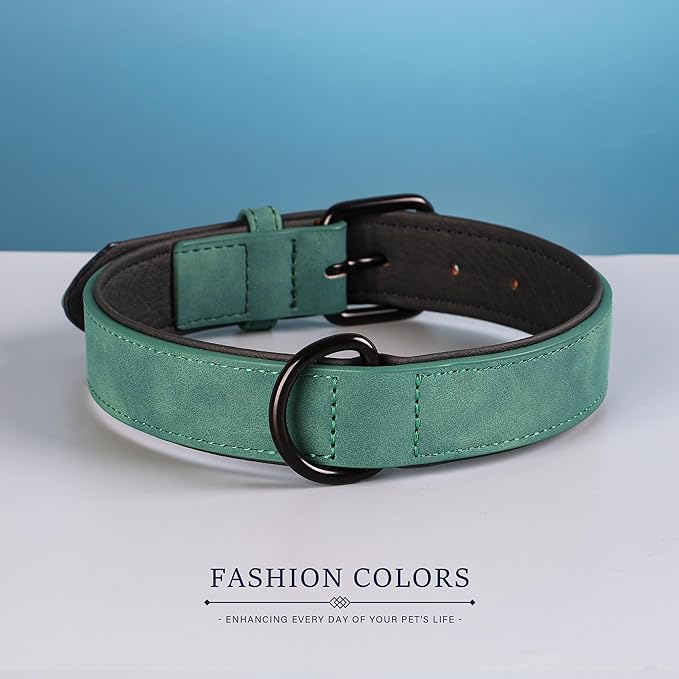 Didog Soft Padded Leather Dog Collar, Breathable Heavy Duty Dog Collar Leather with Adjustable Rust-Proof Metal Buckle for Small Medium Large Dogs, Green, XL