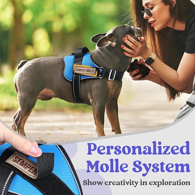 rabbitgoo Dog Harness for Small, Easy On Pet Vest with One Buckle, No Pull Adjustable Service Harness with D-Ring & Handle, Reflective for Safety Walking, Training, Blue, S