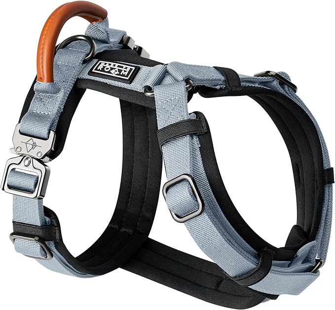 MADE TO ROAM Premium Explorer Harness - Y-Shaped Dog Harness with Adjustable Durable Nylon, Soft Padding, Metal Buckles and Leather Handle for Small, Medium, Large Dogs (Virginia Mountains, Size 3)