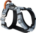 MADE TO ROAM Premium Explorer Harness - Y-Shaped Dog Harness with Adjustable Durable Nylon, Soft Padding, Metal Buckles and Leather Handle for Small, Medium, Large Dogs (Virginia Mountains, Size 3)