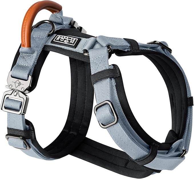 MADE TO ROAM Premium Explorer Harness - Y-Shaped Dog Harness with Adjustable Durable Nylon, Soft Padding, Metal Buckles and Leather Handle for Small, Medium, Large Dogs (Virginia Mountains, Size 2)
