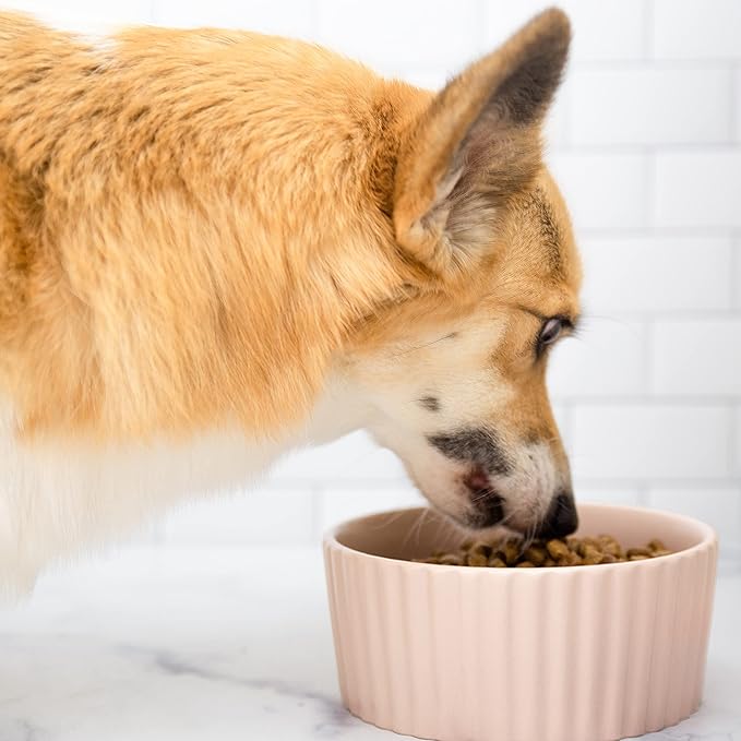 Waggo Ripple Ceramic Dog Bowl for Medium and Large Breeds - Modern with Matte Finish, Heavyweight Durable Pet Food and Water Dish Crock, Dishwasher Safe (Medium, White)