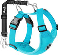 SlowTon Dog Seat Belt Harness for Car, Dog Car Harness Adjustable Mesh Breathable & Dog Seatbelt Safety Tether with Elastic Bungee for Small Medium Large Pets(Light Blue, Double Clip, M)