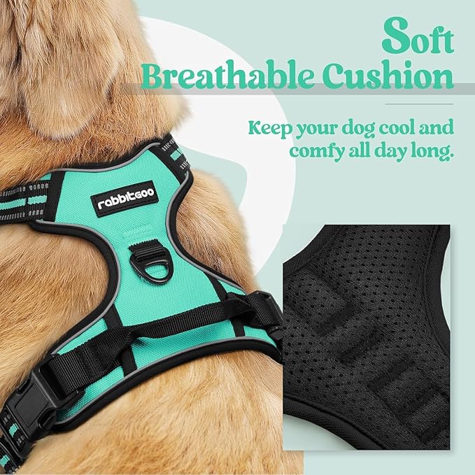 rabbitgoo Dog Harness No Pull with 2 Leash Clips, Adjustable Soft Padded, Reflective Oxford No Choke Pet Vest with Easy Control Handle for Large Dogs, Turquoise, XL