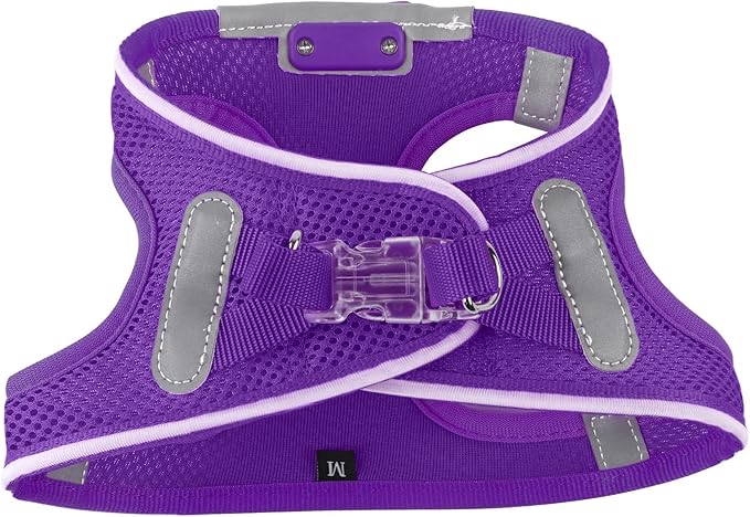 Light Up Dog Harness,Rechargeable LED Dog Harness for Small Medium Large Dogs,Reflective Lighted Safety Vest for Night Walking & Camping,Lightweight & Adjustable,Purple,XS