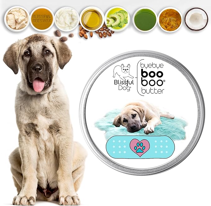 The Blissful Dog Anatolian Shepherd Boo Boo Butter, 1 Ounce
