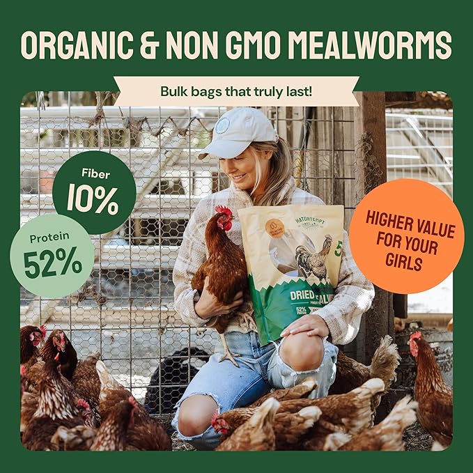 Bulk Dried Mealworms - 10 Lb Bag - Non-GMO Dried Mealworms for Chickens, Ducks & Wild Birds - High-Protein Chicken Feed & Bird Food