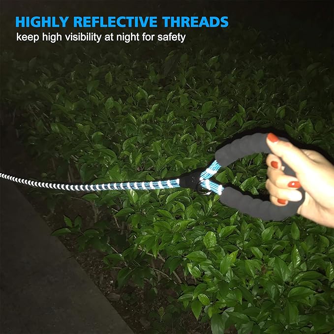 Heavy Duty Dog Leash - Comfortable Padded Handle, 5 ft Long - Dog Leashes for Small Medium Large Dogs (Leash+Collar S Neck 13.5"-16", Blue)