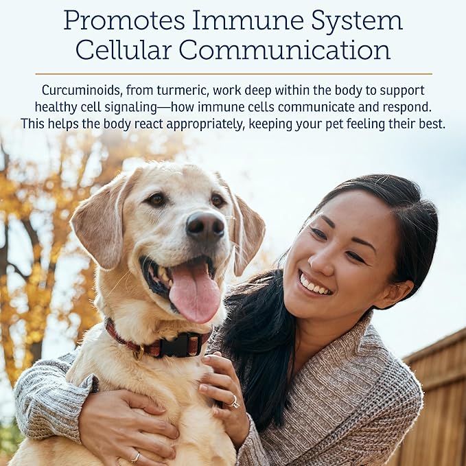 Rx Vitamins CurcuWIN - Curcumin for Dogs & Cats - Vitamins and Supplements, Allergy Relief - Provides Immune Support & Aids Digestive Support - Joint Supplement - 90ct