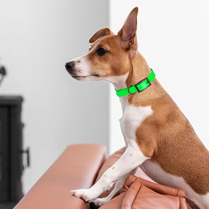 Dogline Biothane Waterproof Dog Collar Strong Coated Nylon Webbing with Black Hardware Odor- Proof for Easy Care Easy to Clean High Performance Fits Small Medium or Large Dogs, Tropical Green
