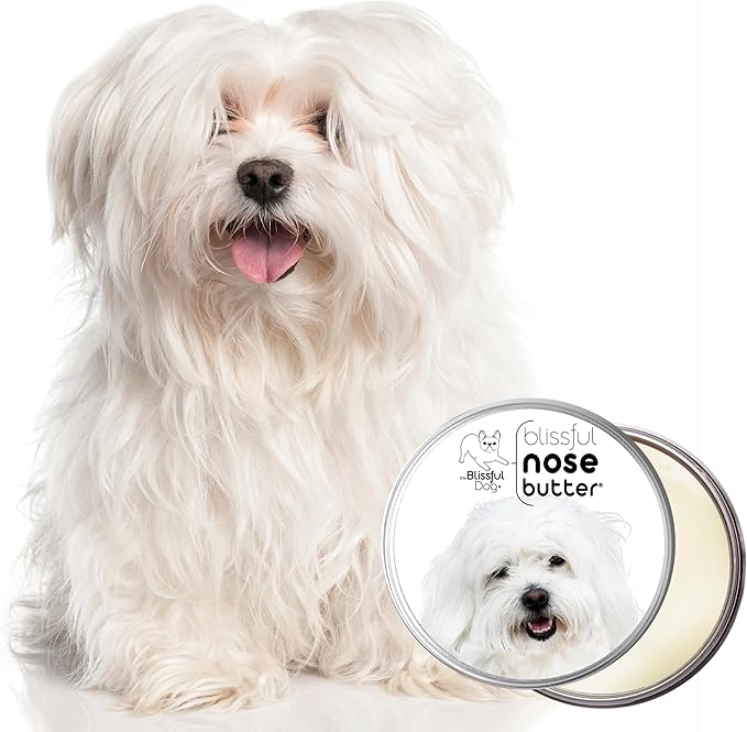 The Blissful Dog Coton De Tulear Unscented Nose Butter, 2-Ounce