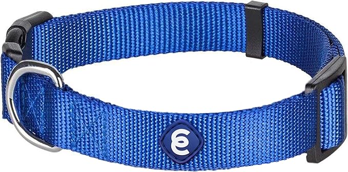 Blueberry Pet Essentials Small Dog Collar in Royal Blue | Adjustable & Eco-Friendly Durable Nylon Strap | Classic Collar for Small Dogs, Boy & Girl Pets