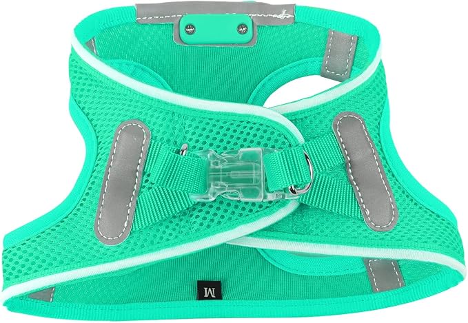 Light Up Dog Harness,Rechargeable LED Dog Harness for Small Medium Large Dogs,Reflective Lighted Safety Vest for Night Walking & Camping,Lightweight & Adjustable,Light Green,S