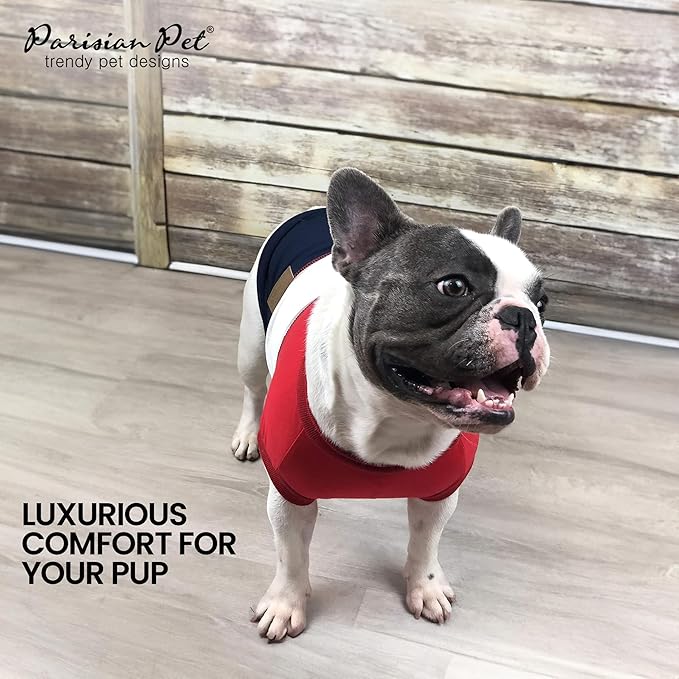 Parisian Pet Embroidered Worlds Champion' Sleeveless Color Block Machine Washable Dog Tee Shirts - XL