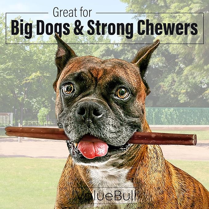 ValueBull Bully Sticks for Dogs, Thick 12 Inch, 25 Count - All Natural Dog Treats, 100% Beef Pizzles, Single Ingredient