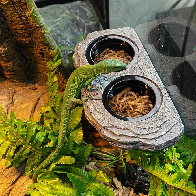 Wacool Magnetic Gecko Ledge - Double Bowl Reptile Feeding Tray with 6 Feeding Cups for Geckos, Lizards, Chameleons and Reptile Pets