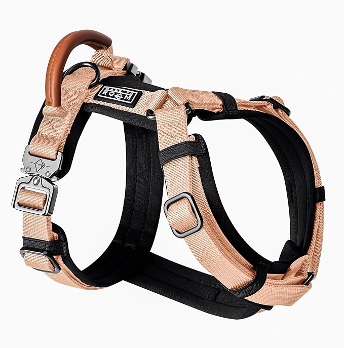 MADE TO ROAM Premium Explorer Harness - Y-Shaped Dog Harness with Adjustable Durable Nylon, Soft Padding, Metal Buckles and Leather Handle for Small, Medium, Large Dogs (Carolina Blooms, Size 7)
