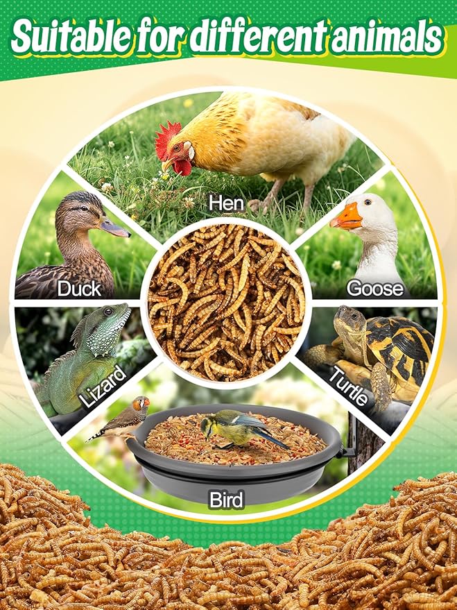 Mealworms Chicken Treats 3 Lbs with Handle Packing, High-Protein Promote Egg Production, Natural Chicken Feed for Laying Hens Wild Birds Ducks