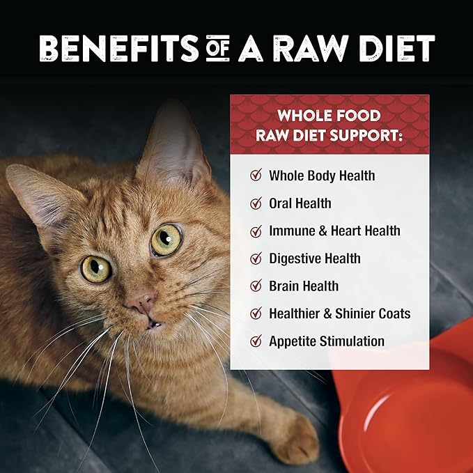 Northwest Naturals Freeze-Dried Beef & Trout Cat & Kitten Food, Bite-Sized Nibbles, Healthy, Limited, Human-Grade Ingredients, All-Natural, High-Protein Raw Diet, Complete & Balanced, Grain-Free 11 oz