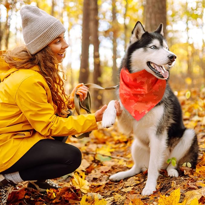 100 Pieces Fall Dog Bandanas Bulk Maple Leaves Bandanas for Dogs Autumn Soft Doggie Bibs Adjustable Triangle Scarves with Pumpkin Patterns for Small Medium Large Pet Fall Autumn Costume