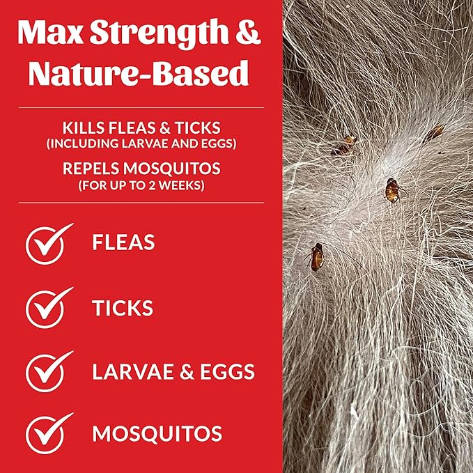 Skout's Honor Flea and Tick Dog & Home Spray - Natural Peppermint & Cedarwood Formula, Helps to Protect from Fleas, Ticks, and Mosquitos, 28 oz