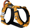 MADE TO ROAM Premium Explorer Harness - Y-Shaped Dog Harness with Adjustable Durable Nylon, Soft Padding, Metal Buckles and Leather Handle for Small, Medium, Large Dogs (Michigan Autumn, Size 3)