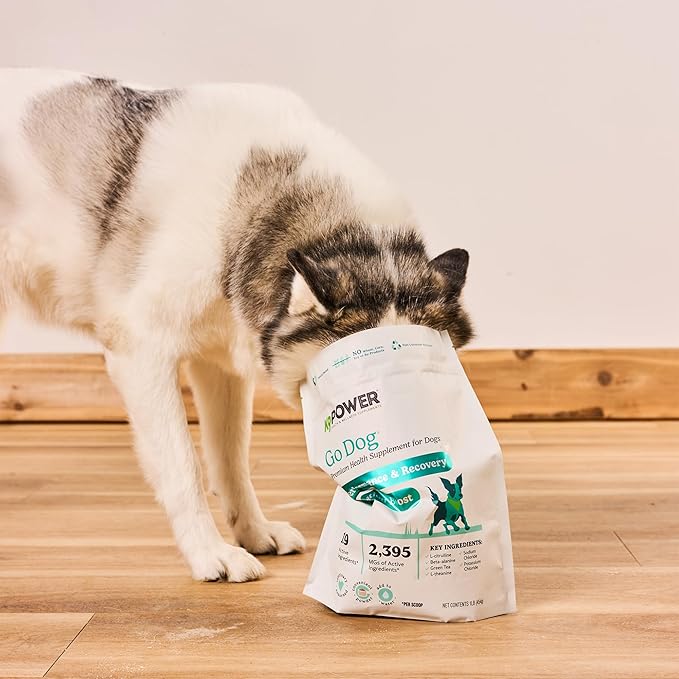 K9 Power Go Dog Hydration & Performance Drink Mix 1 lb - Active Dog Supplement for Muscle Function, Endurance, Recovery, with Electrolytes Support - Pack of 2