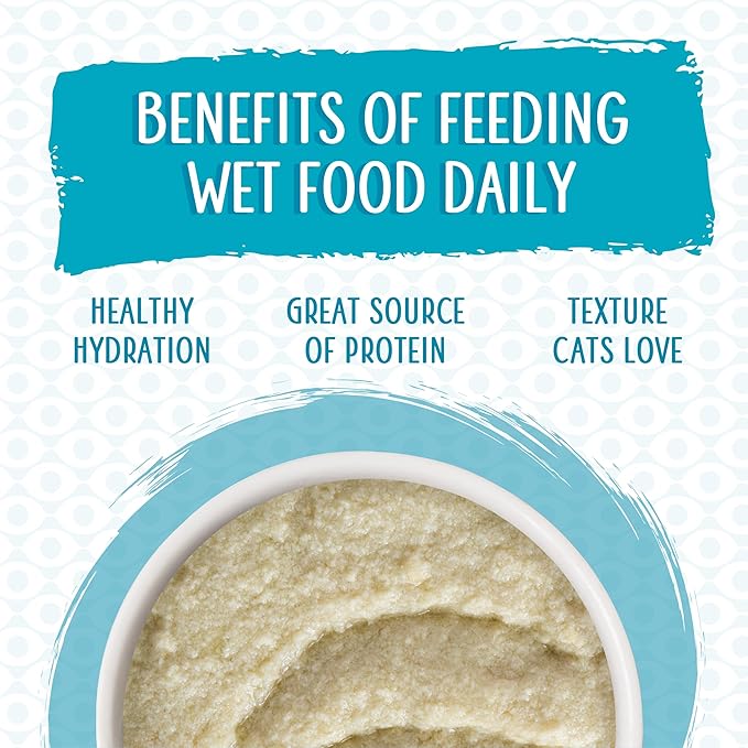 Weruva Wet Cat Food, Big Time Bonus Round Pate Variety Pack, 10oz Can, Pack of 12